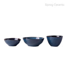 Ceramic Reactive Glaze Dinner Set Blue Color  SP2304-025 - SPRING CERAMIC